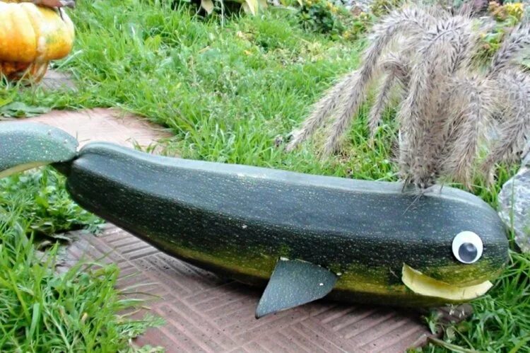 Поделка из кабачка фото Поделки из кабачков своими руками - 10 красивых и легких идей (фото)