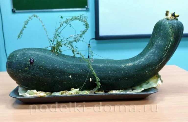 Поделка кит из кабачка и зубочисток фото Кит из кабачка и зубочисток поделка пошагово - Арт Минск.ру