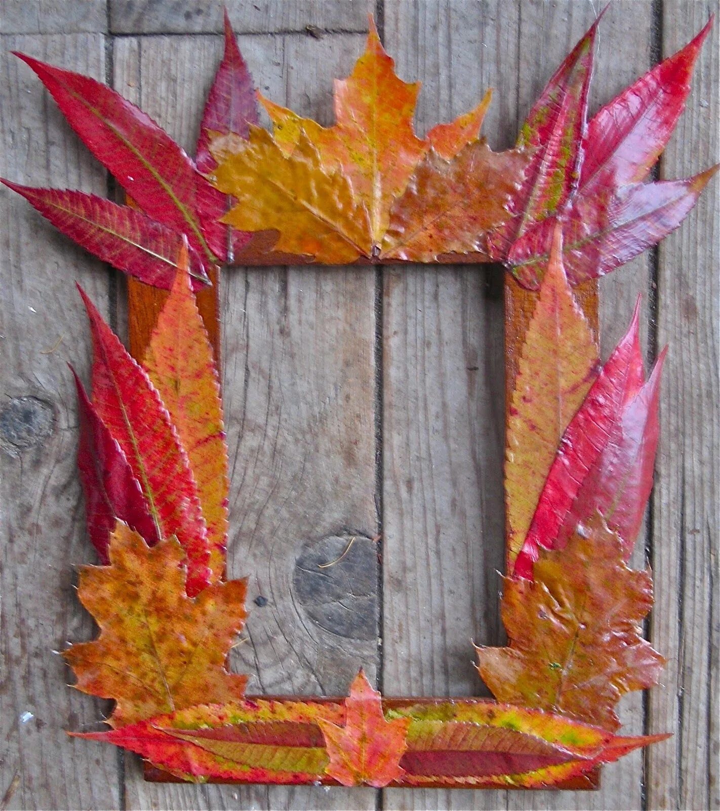 Поделка осенняя рамка для фото Twig and Toadstool Fall crafts diy, Fall crafts, Fall arts and crafts
