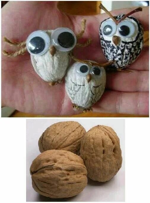 Поделка с грецких орехов фото Pin on MANUALES CHICAS Animal crafts for kids, Walnut shell crafts, Owl crafts