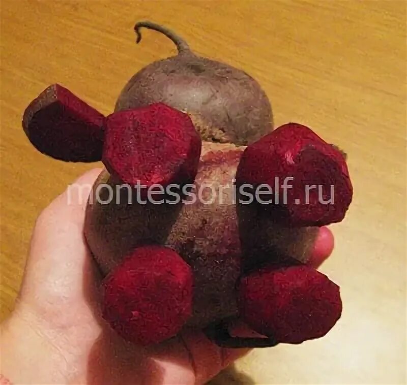 Поделка слон из свеклы пошагово с фото Поделка из свеклы своими руками: для сада и школы