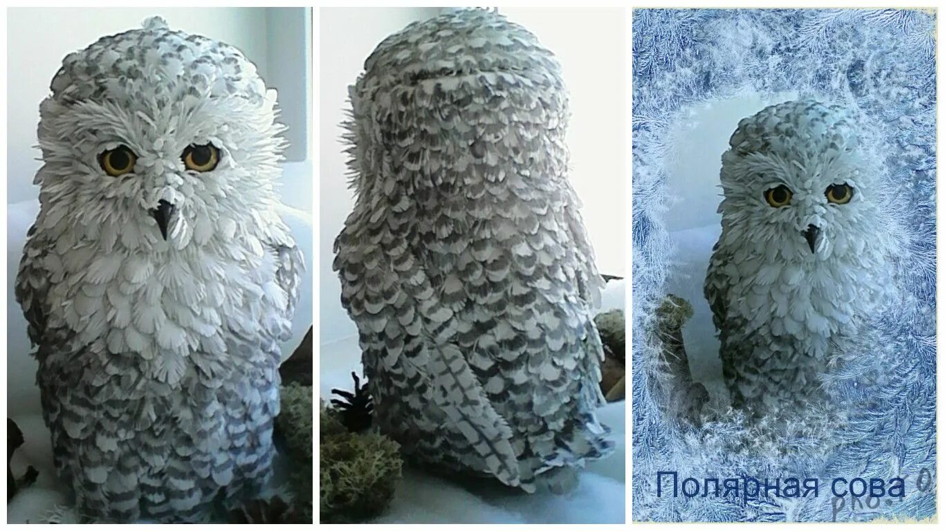 Поделка сова фото полярная сова из фоамирана Полярная сова, Сова, Цветы шаблоны