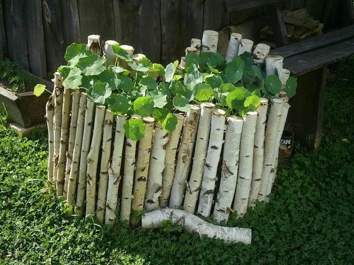 Поделки из березы своими руками фото Flower beds, Garden, Diy plants