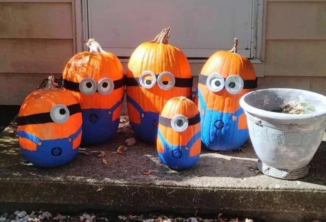 Поделки из бутылочной тыквы своими руками фото Pin by Sandy Lewis on Halloween Minion halloween, Minion pumpkin, Halloween craf
