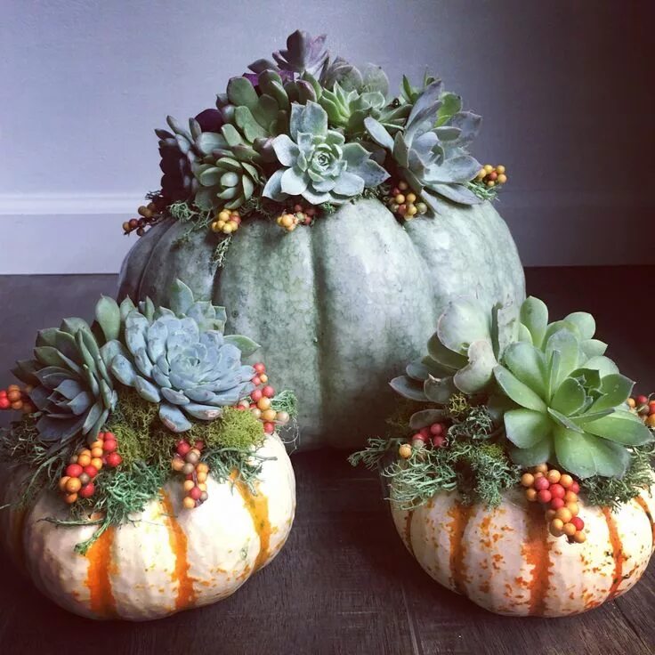 Поделки из декоративной тыквы фото Using our 20 pack of rosettes, one of our lovely customers created this. Thank f
