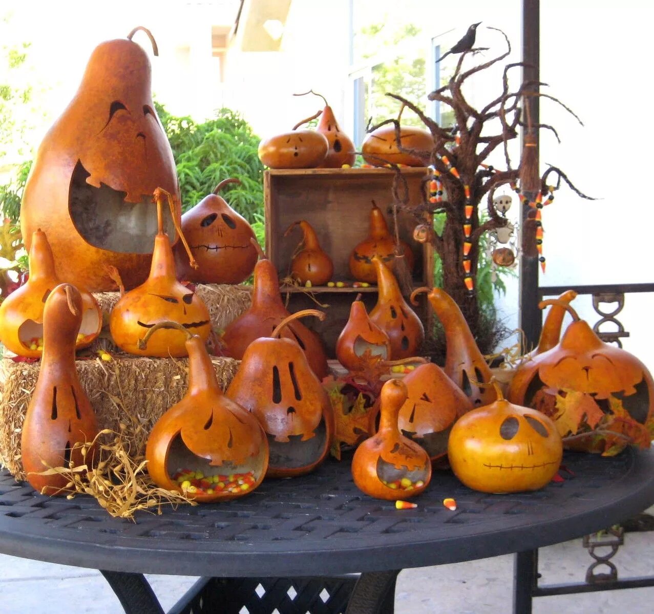 Поделки из декоративной тыквы фото The weather is getting chilly and the leaves are starting to loose ... Halloween