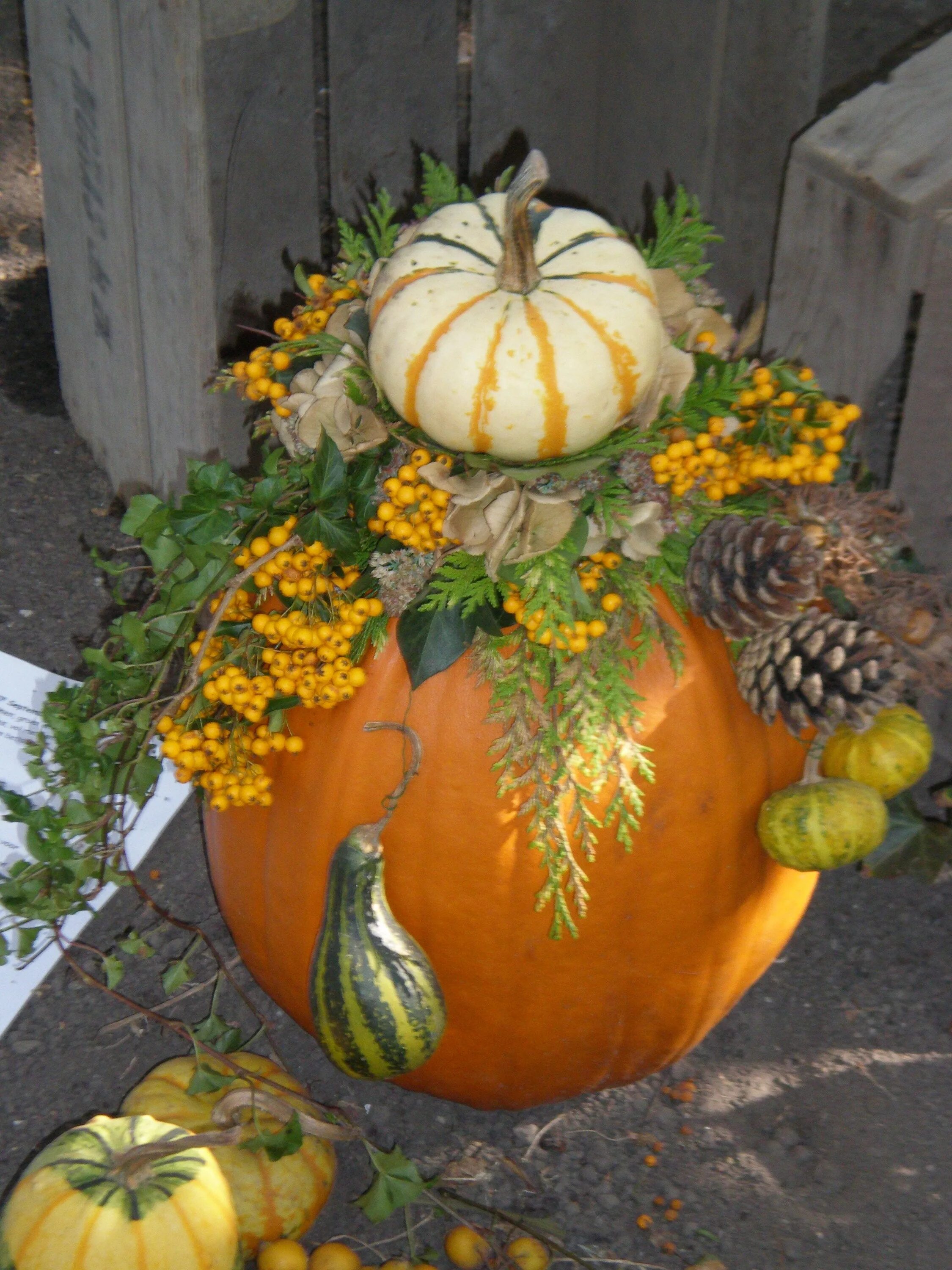 Поделки из декоративной тыквы фото Pin auf Pompoenen Herbst dekor diy, Herbst dekoration, Kürbisdekorationen