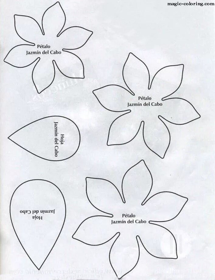 Поделки из фоамирана своими руками схемы MAGIC-COLORING Gardenia flower template Artesanías flores de papel, Flor de pape