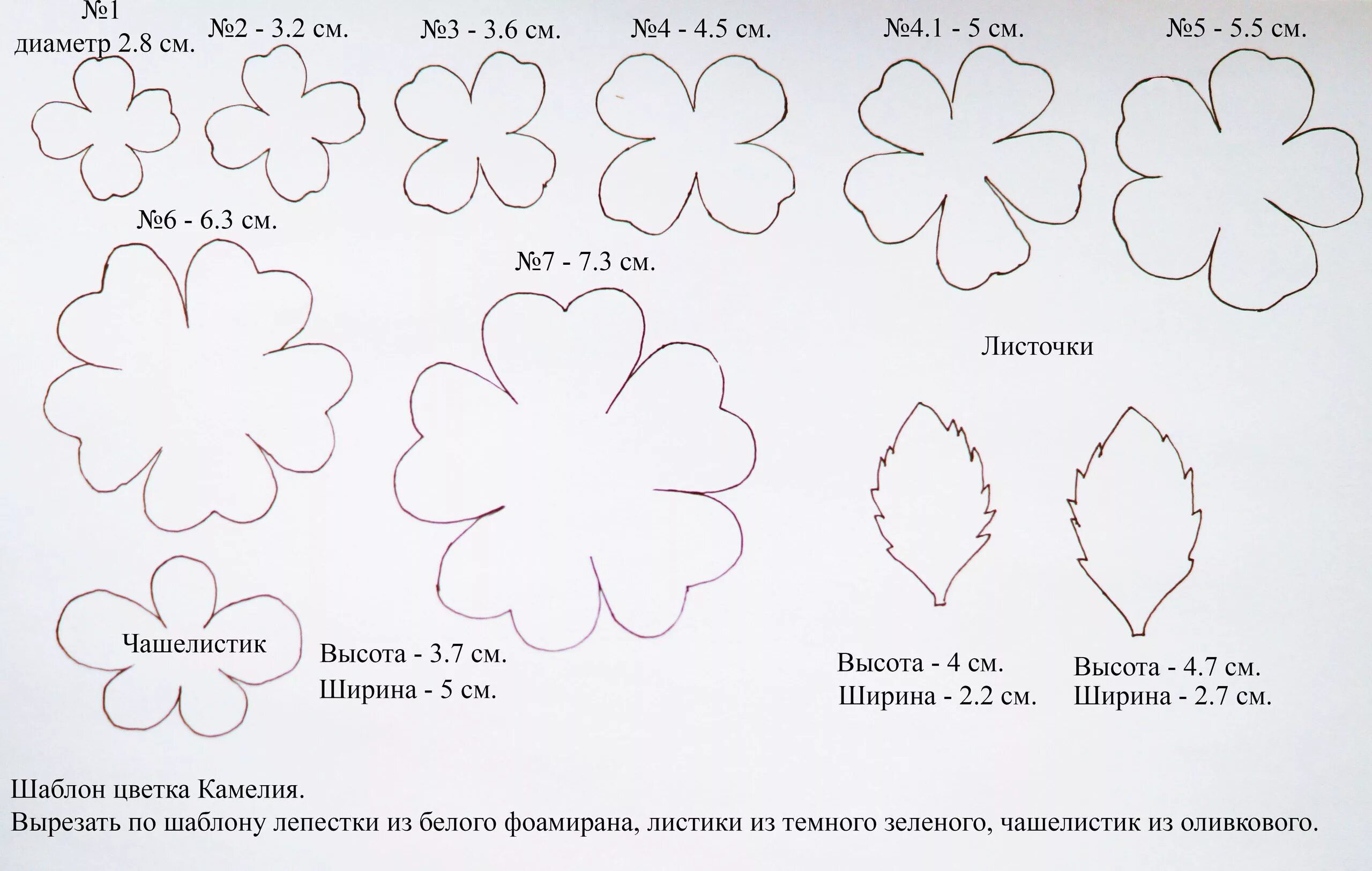 Поделки из фоамирана своими руками схемы Paper flowers, Paper flower patterns, Paper flower centerpieces