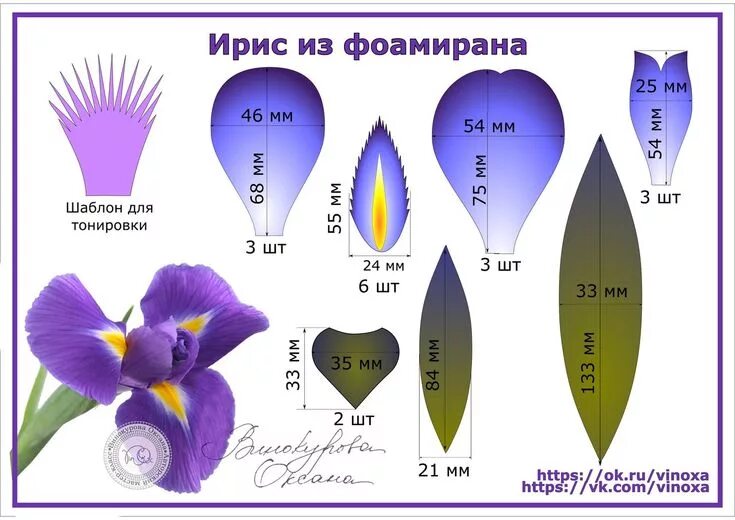 Поделки из фоамирана своими руками схемы шаблоны ирис из фоамирана Цветы из креп-бумаги, Самодельные цветы, Как сделать цветок из