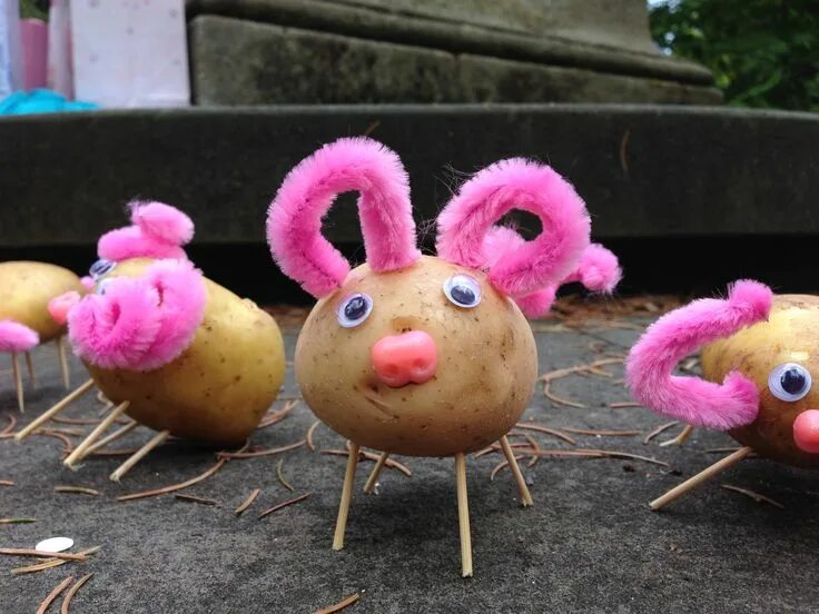 Поделки из картошки фото POTATOE PIGS Ace craft activity for kids party or general bordem. Potatoes, nose