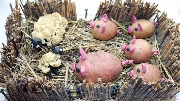 Поделки из картошки в детский сад фото Comment faire des animaux avec des pommes de terre