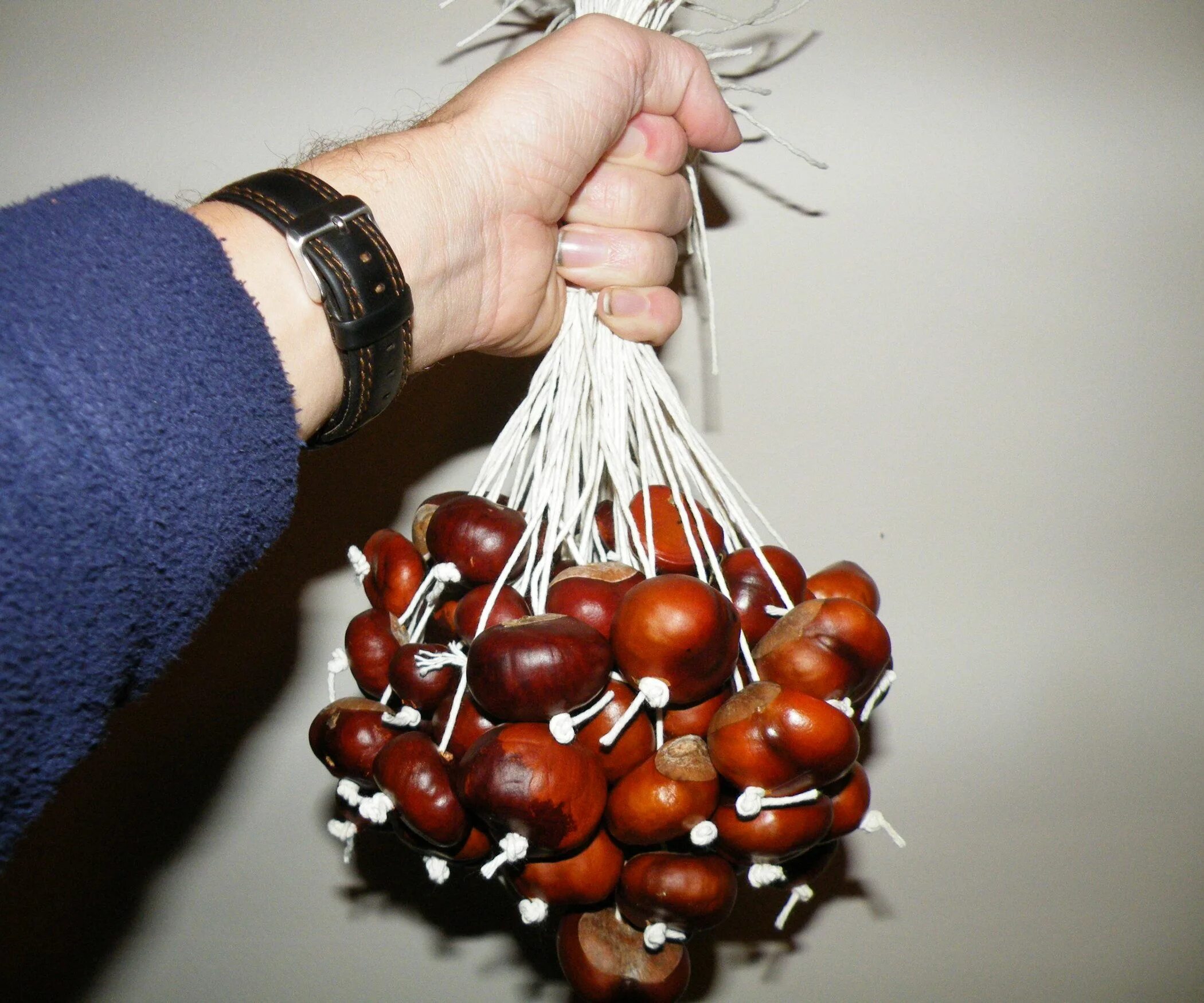 Поделки из каштанов своими руками фото How to Play Conkers. Conkers, Conkers craft, Autumn activities