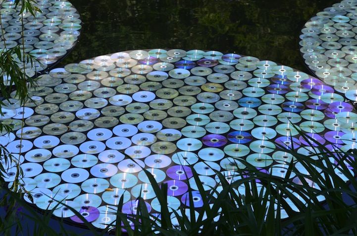 Поделки из компакт дисков своими руками фото Colorful Floating Waterlilies Made of 65,000 Recycled CDs Recycled cds, Water li
