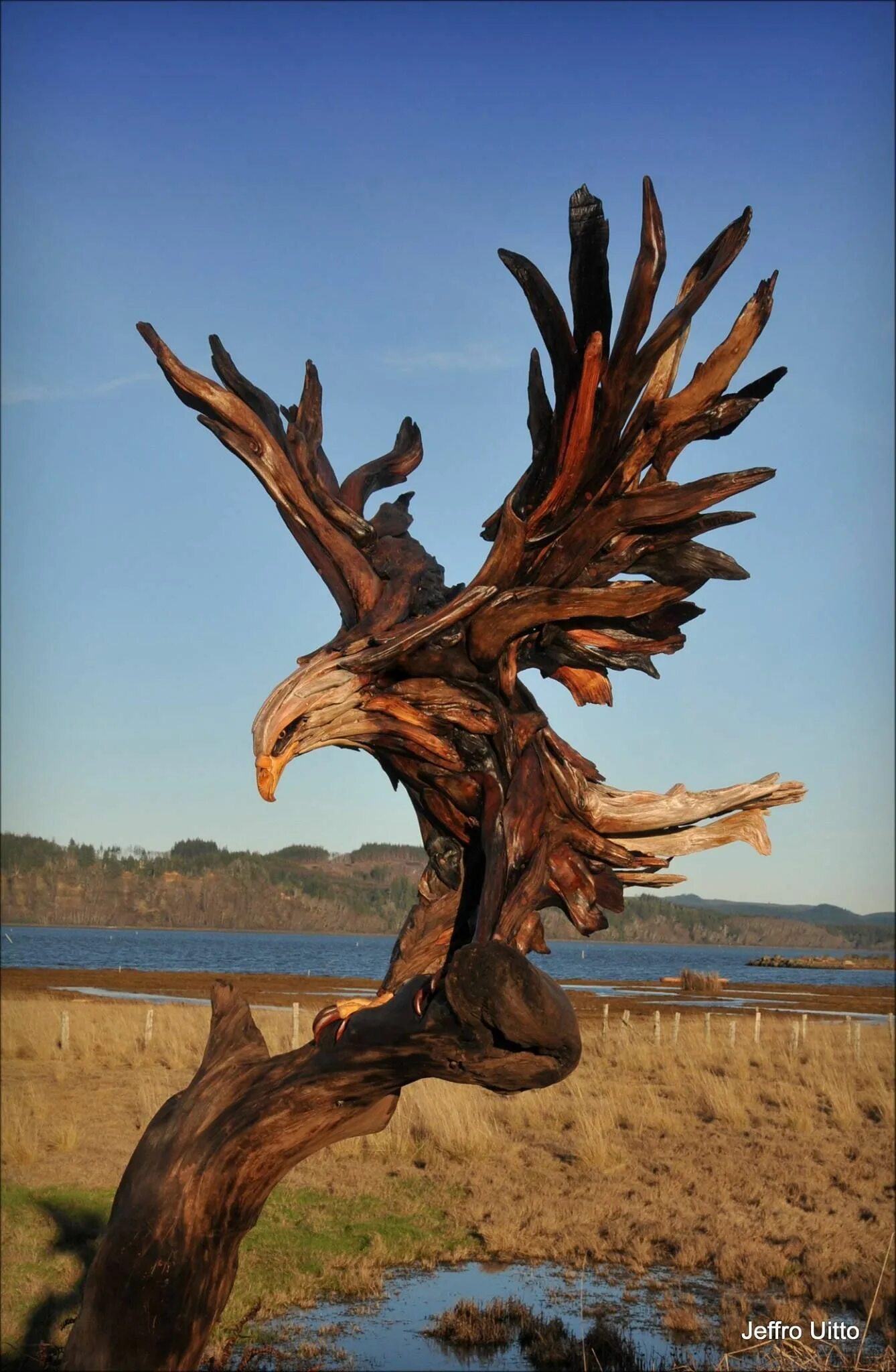 Поделки из коряги дерева фото These gorgeous sculptures started as driftwood on the beach Animal sculptures, D