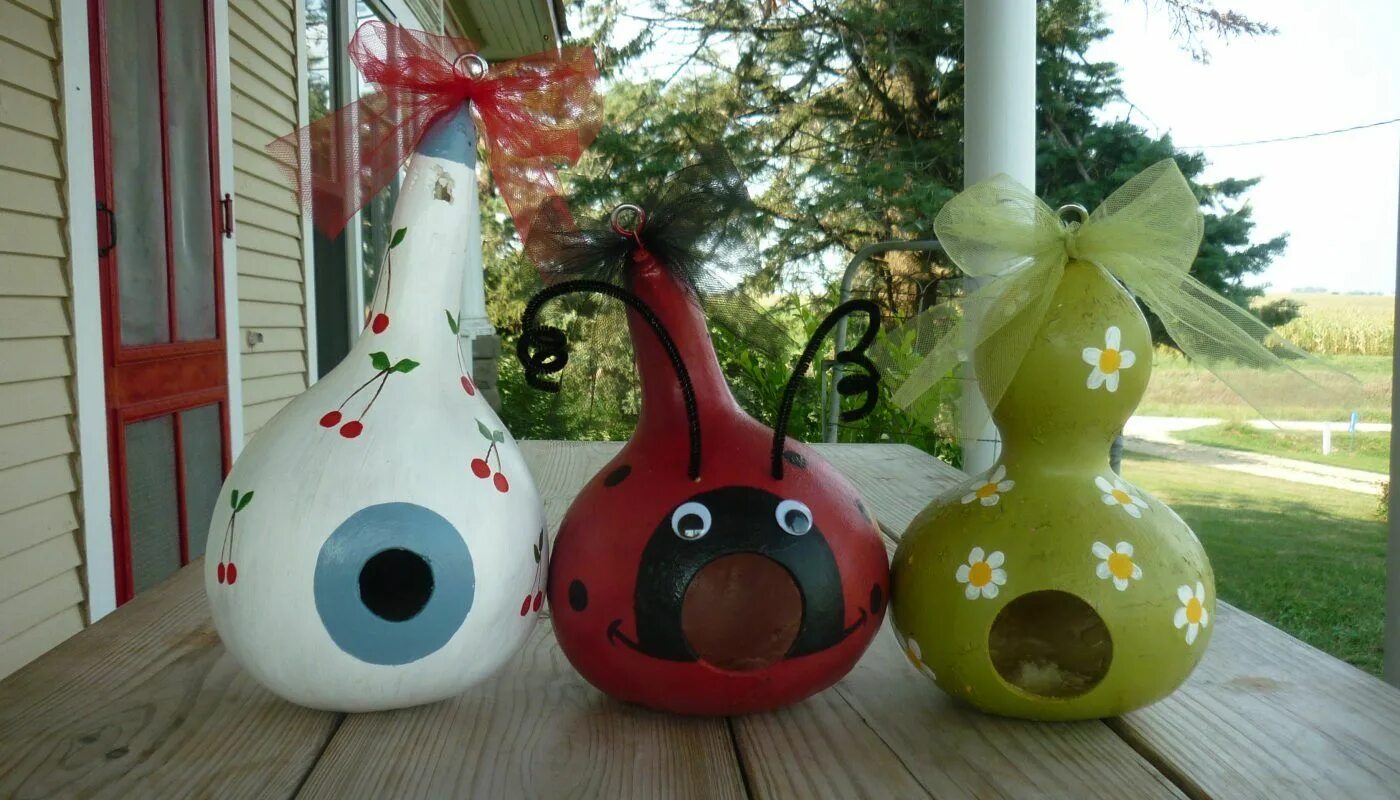 Поделки из лагенарии своими руками фото Look what are the different cheap bird houses - Project "Jackiebird" Decorative 