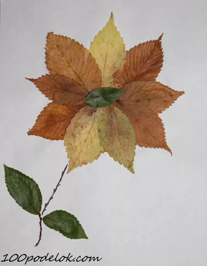 Поделки из листьев 3 класс фото что сделать из осенних листьев (2) Manualidades de otoño para niños, Manualidade