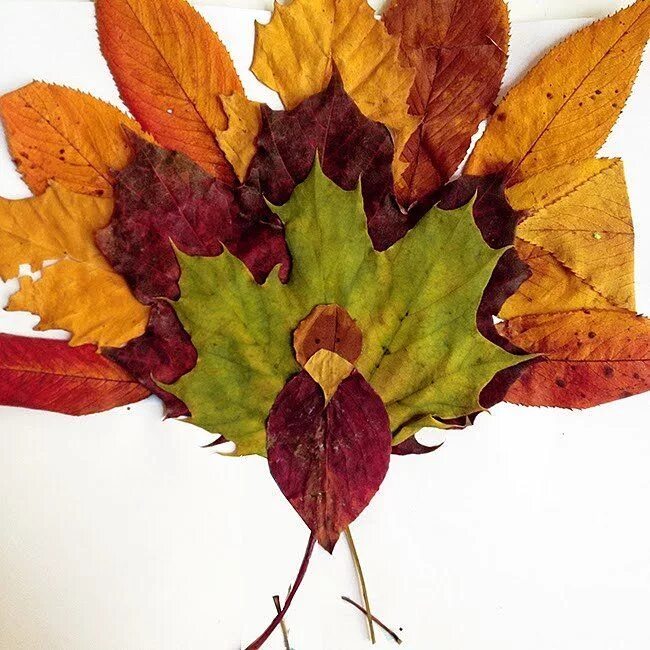 Поделки из листьев своими руками фото 19 Cool Thanksgiving Crafts For Kids Autumn leaves craft, Leaf crafts, Thanksgiv