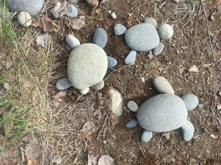 Поделки из мелких камушков черепаха фото Rock turtles Garden rock art, Rock garden design, Diy garden projects