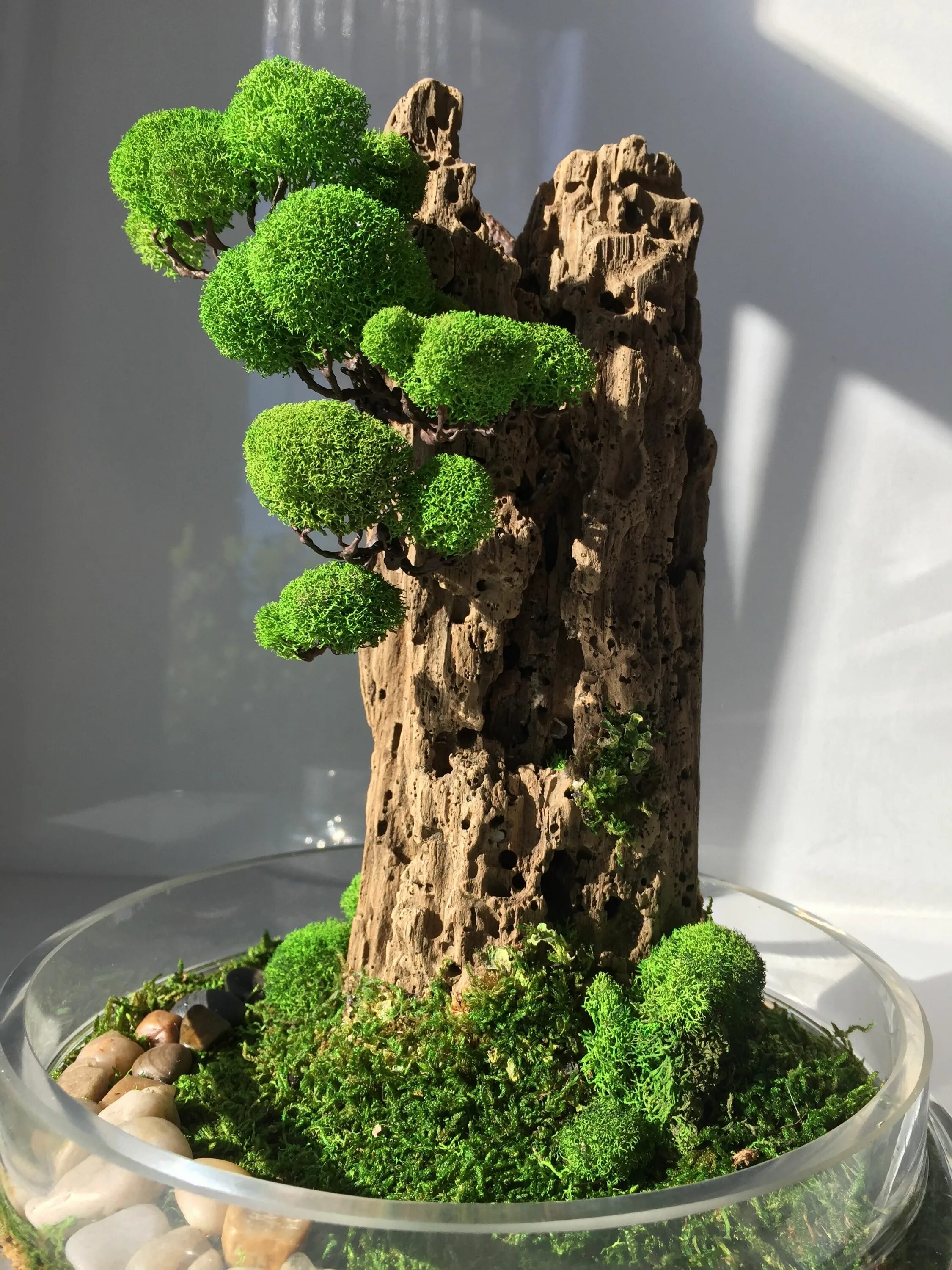 Поделки из мха своими руками фото Best home decor - preserved moss tree Bonsai plants, Miniature garden, Moss gard