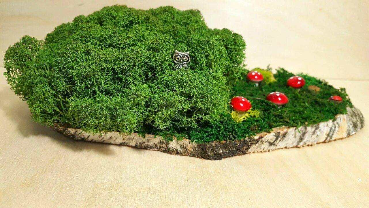 Поделки из мха своими руками фото Поделки из стабилизированного мха
