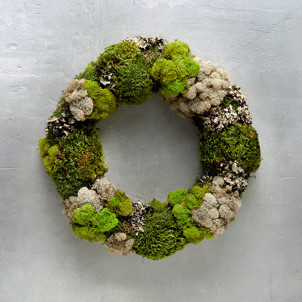 Поделки из мха своими руками фото Mixed Moss Wreath Moss wreath, Wreaths, Christmas wreaths