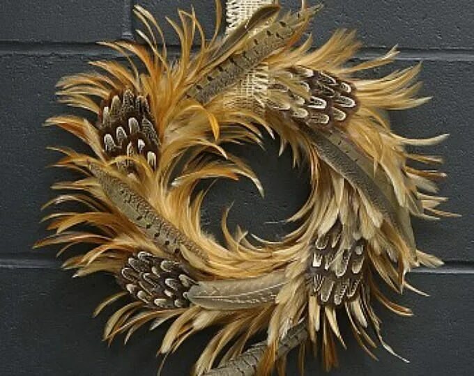 Поделки из перьев птиц фото Pinecone Wreath Natural Browns and Barn Red Holiday Wreath, Christmas Wreath - E