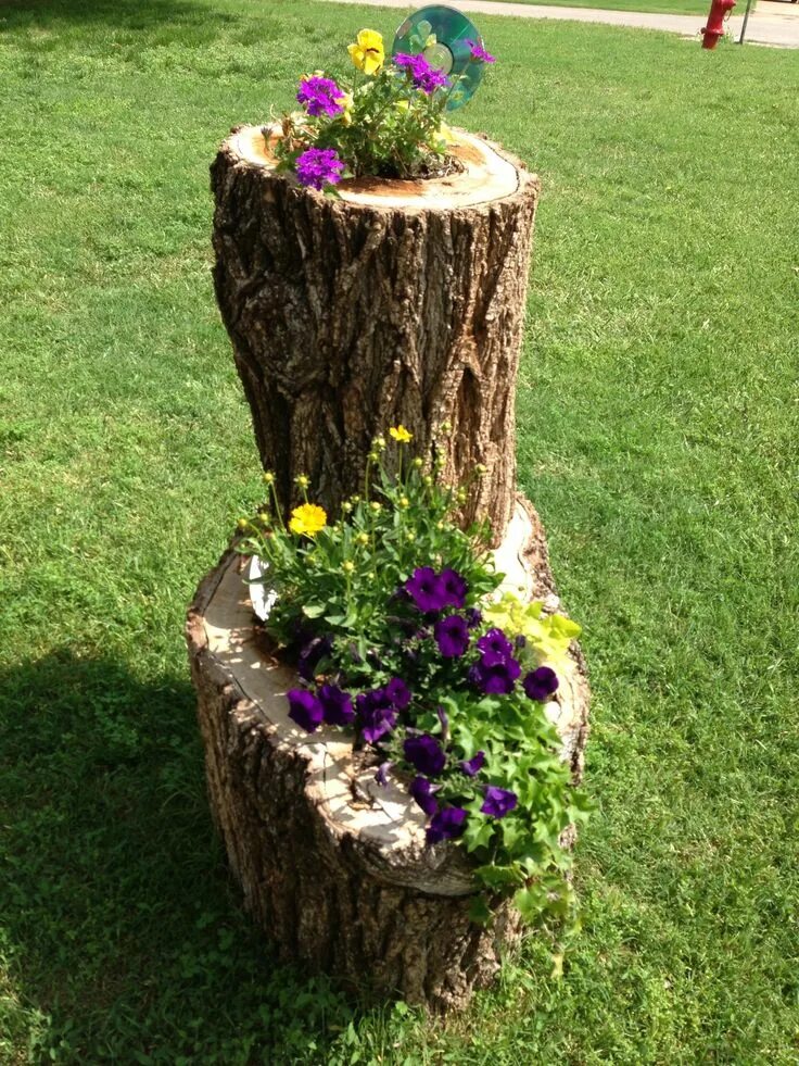 Поделки из пней для сада фото Pin on Gardening/ plants Most beautiful gardens, Tree stump planter, Fall plante