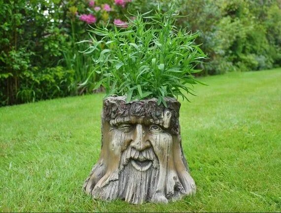 Поделки из пней для сада фото Large Tree Stump Planter Etsy in 2022 Tree stump planter, Tree stump, Unusual ga