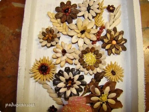 Поделки из семечек фото Pin by veronica tentori on lavori con i semi Seed craft, Crafts, Handmade
