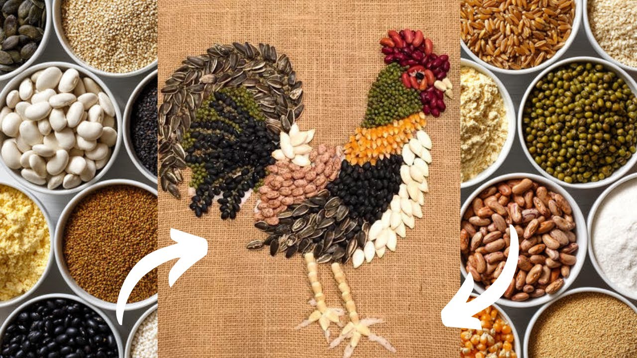 Поделки из семечек фото DIY Kitchen Rooster Kitchen Decor pulses craft ideas pulses decor Kids Pulses Cr