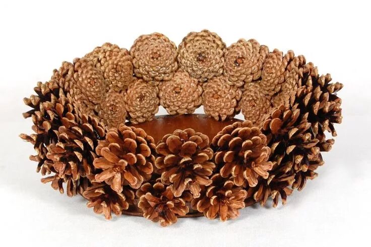 Поделки из шишек своими руками фото Pine cone crafts, Cones crafts, Pine cone art
