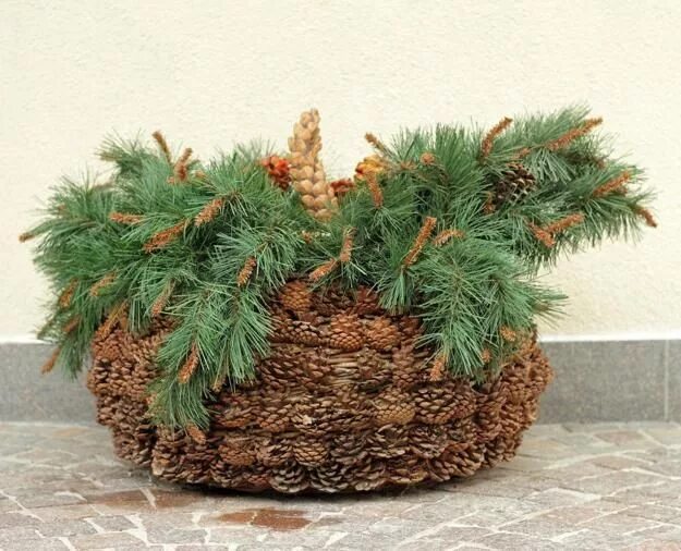 Поделки из сосновых шишек фото Festive DIY Pinecone Baskets for Thanksgiving and Christmas Decor