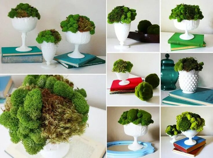 Поделки из стабилизированного мха фото Déco créative à faire soi-même - projets inspirés par la nature en 2020 Décorati