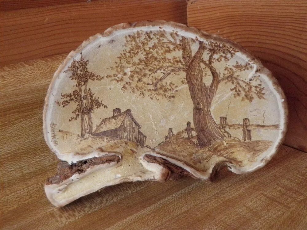 Поделки из трутовика своими руками фото Old Cabin Farm LANDSCAPE ARTIST SIGNED TREE FUNGUS CONK FOLK ART #Americana Fung