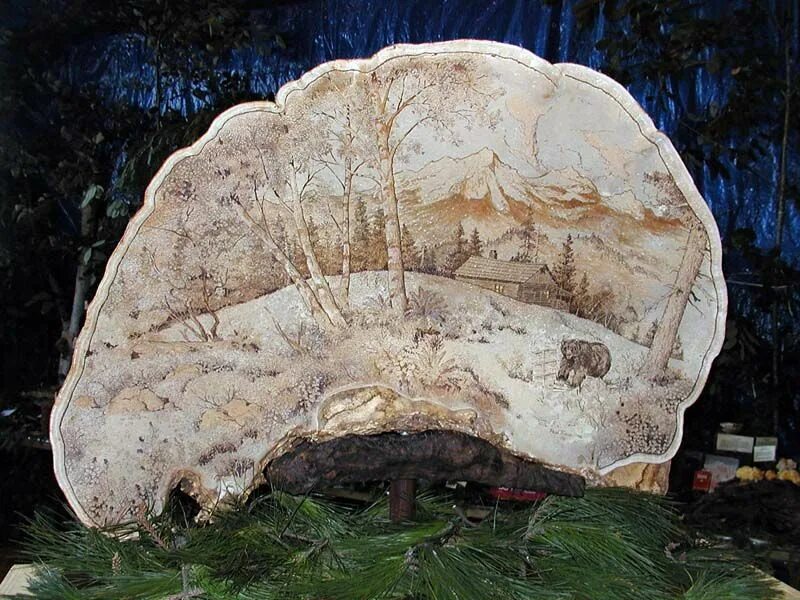 Поделки из трутовика своими руками фото pyrography nature scene, on artist's conk Mushroom art, Fungi art, Cool art proj