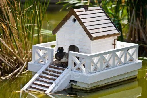 Поделки самоделки домик для уточки 37 Free DIY Duck House / Coop Plans & Ideas that You Can Easily Build Duck house