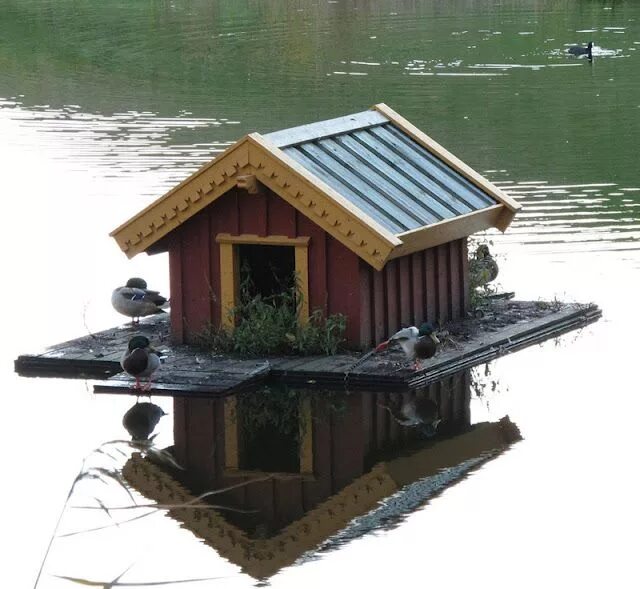 Поделки самоделки домик для уточки Cute duck house idea for Will and Gracie Duck house, Chickens backyard, Duck hou
