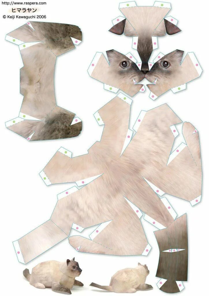 Поделки самоделки из бумаги котики 3D игрушки из бумаги - 61 photos Paper animals, Paper art craft, Paper dolls