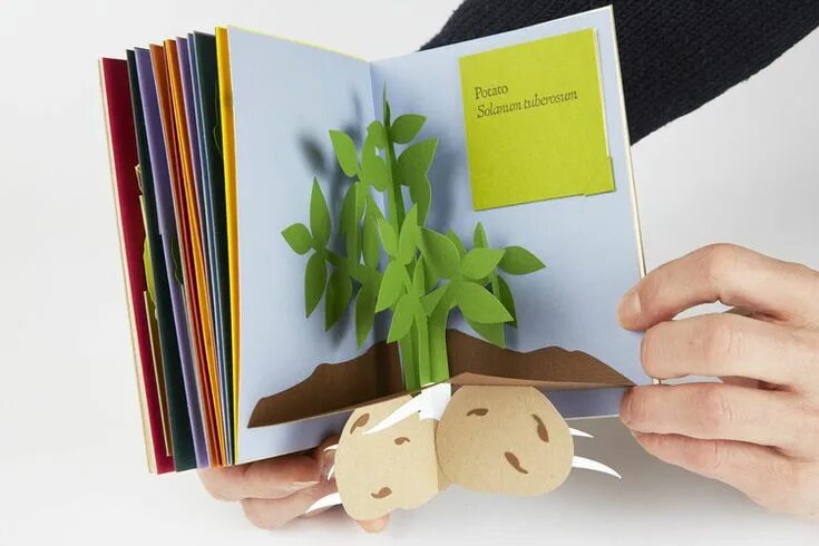 Поделки самоделки книги A Pop-Up Culinary Herbal - Shawn Sheehy Paper Engineer Diy pop up book, Pop up a