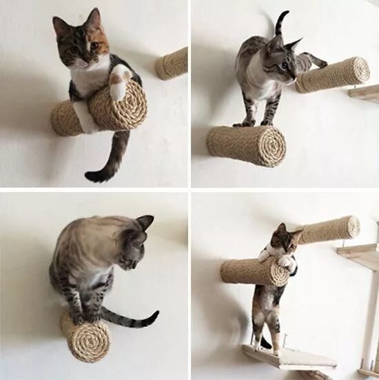 Поделки самоделки котики Crazy Sisal Cat Climbers from CatastrophiCreations! * hauspanther Cat climber, C