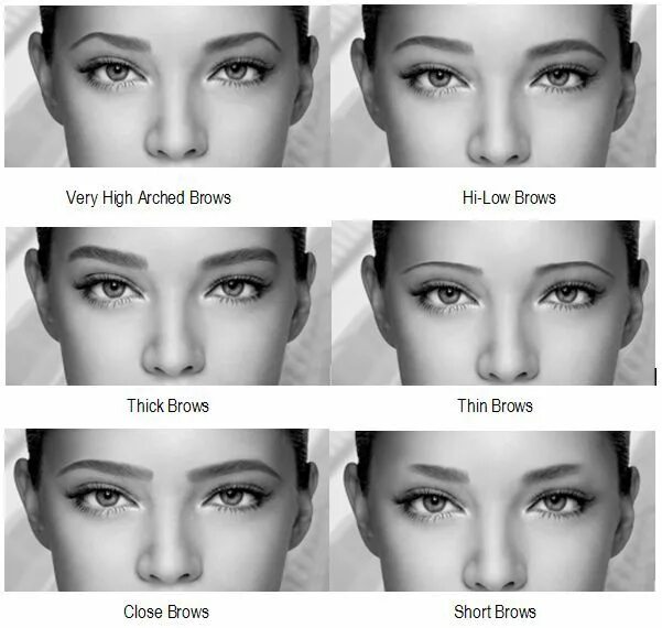 Подходящие брови по фото How Does Different Eyebrows Change The Same Face - AllDayChic Different eyebrow 