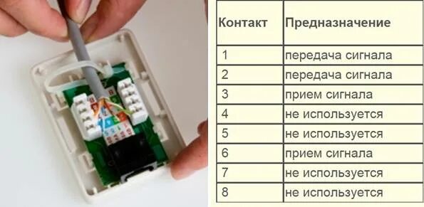 Подключение 2 интернет розетки Подключение розетки rj45 фото - DelaDom.ru