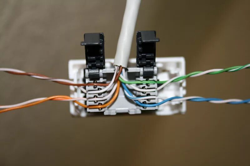 Подключение 2 интернет розетки Как подключить розетку RJ-45