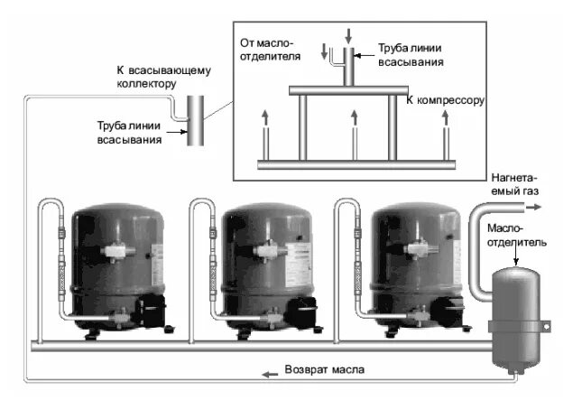 Подключение 2 компрессоров ФАРМИНА - Холодильное оборудование, компрессоры Maneurop, компрессоры Danfoss, т