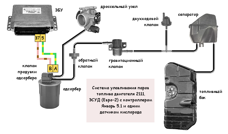 Подключение абсорбера ваз 2114 Почему и куда пропадает давление в топливной рампе двигателя автомобиля? TWOKARB