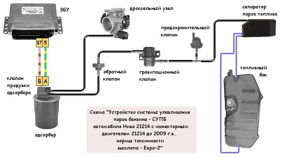 Подключение абсорбера ваз Запах бензина в салоне 21214 (замена сепаратора) - Lada 4x4 3D, 1,7 л, 2006 года