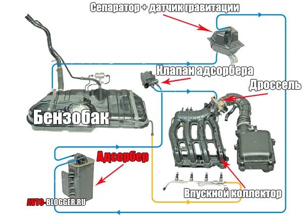 Подключение абсорбера ваз Вакуумник или эл. магнитный клапан адсорбера - Nissan Skyline (R34), 2,5 л, 1999