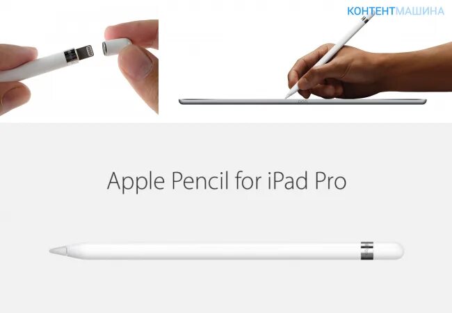 Подключение apple pencil 1 Какой пенсил подходит: найдено 90 изображений