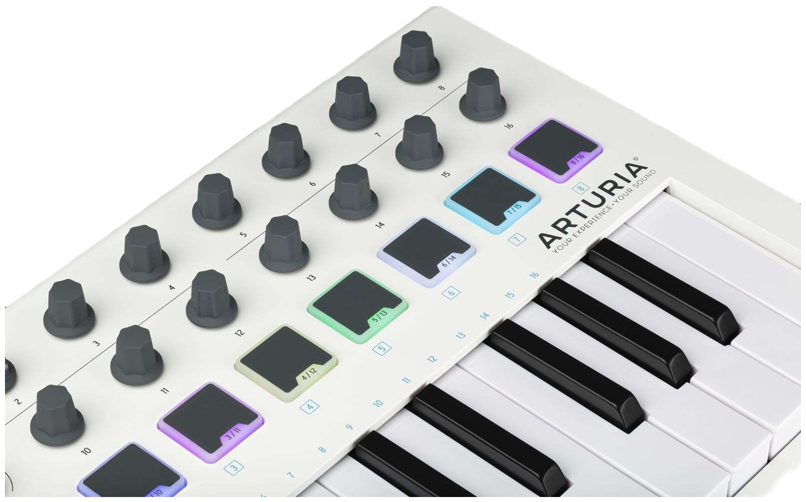 Подключение arturia minilab 3 к ableton MIDI-клавиатура Arturia MiniLab MkII black edition - купить в интернет-магазине 